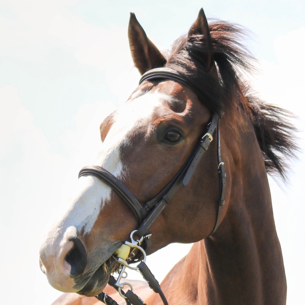 Meet your Posher, Tammy